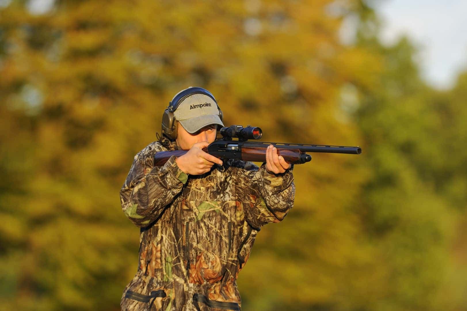 Aimpoint H34S 2MOA