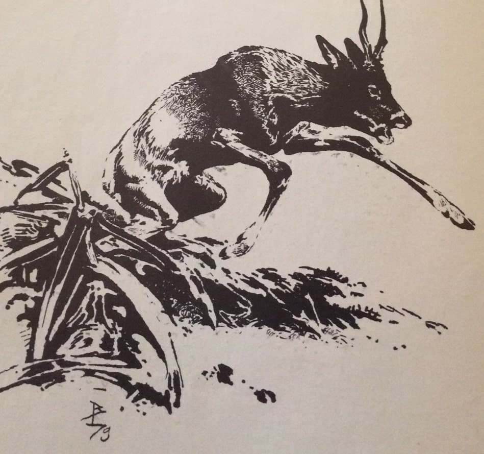 Ki tudja, hányadszor? (Nimród, 1979. október)