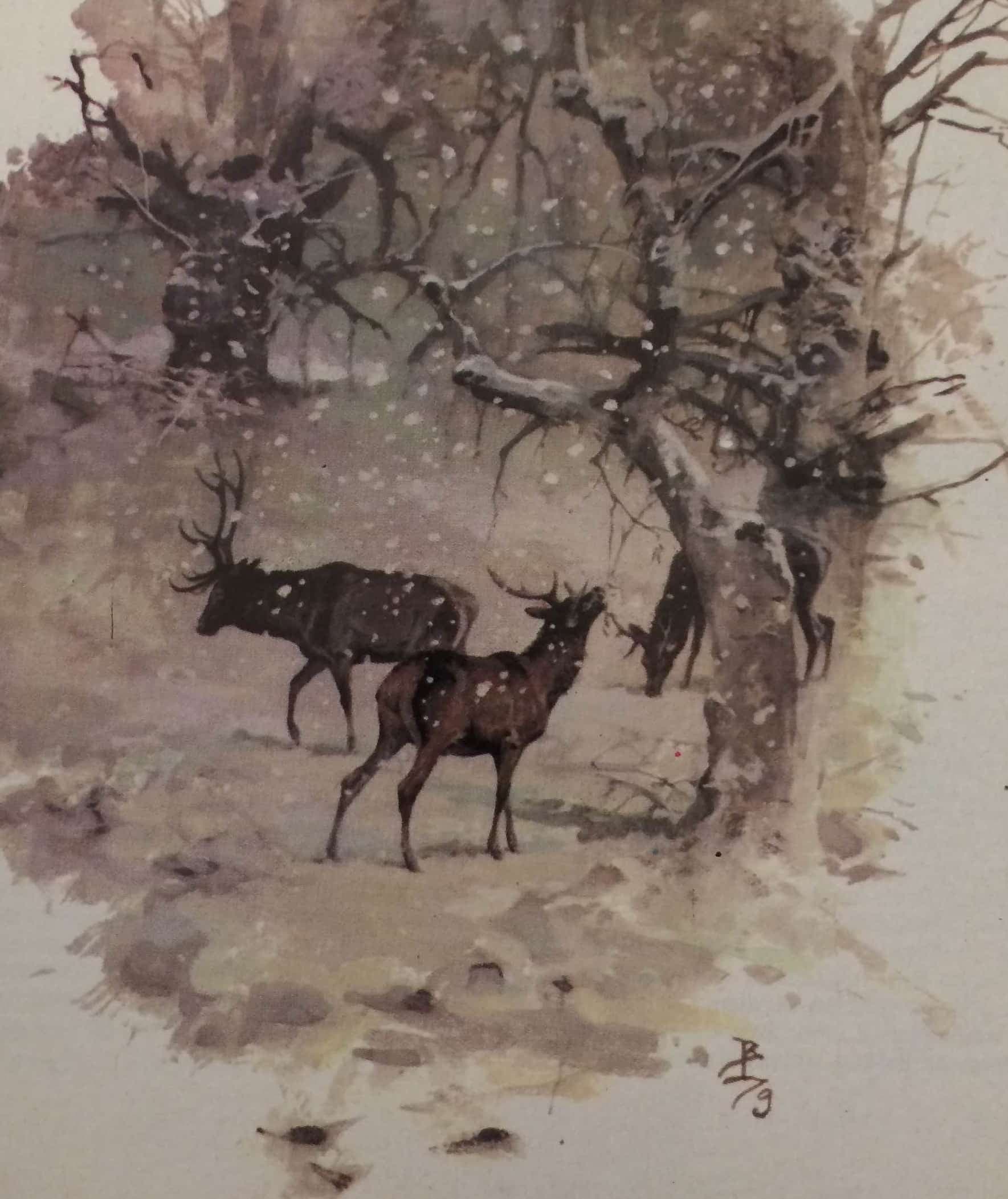 Legeredményesebb cserkészetem sörte-vadra (Nimród, 1980. február)