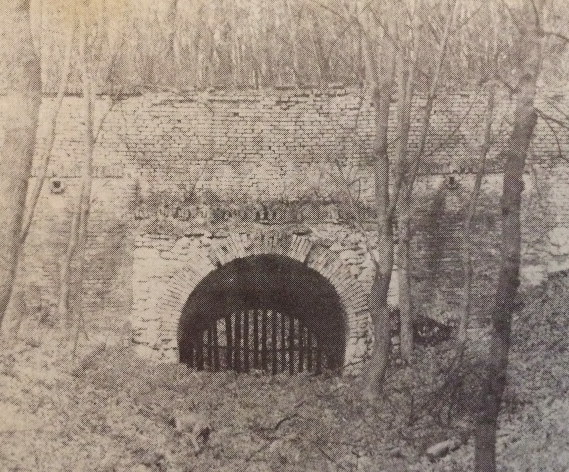 Vadaskertek, kerítések (Nimród, 1980, június)