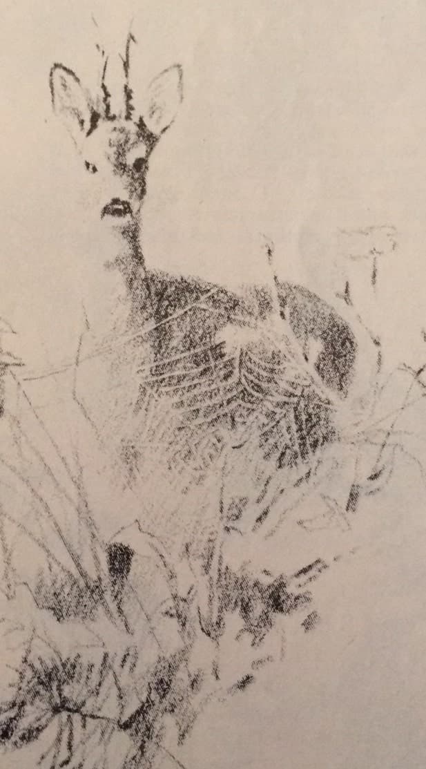 Pókhálók (Nimród, 1980. augusztus)