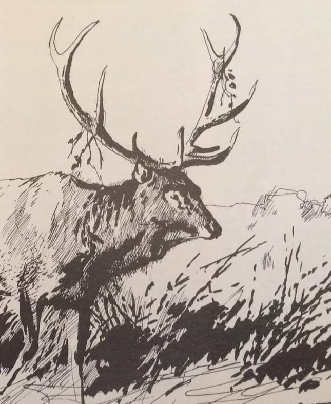 Hajnaltól estig (Nimród, 1980. szeptember)