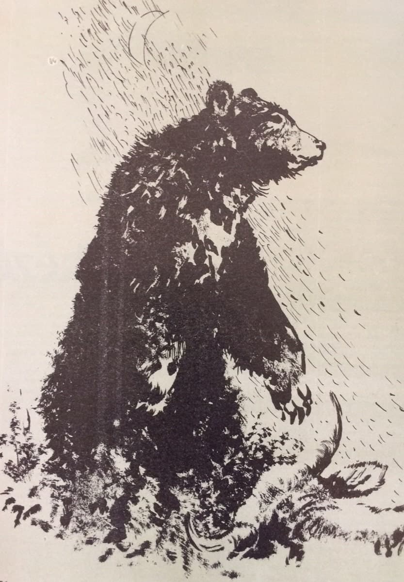 A vérmedve (Nimród, 1980. november hó)