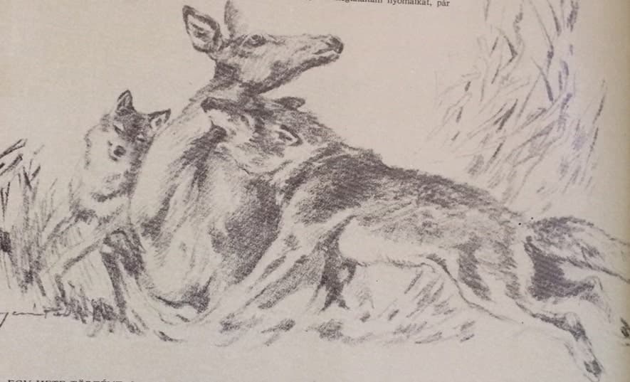 Halottak napja (Nimród, 1980. november)