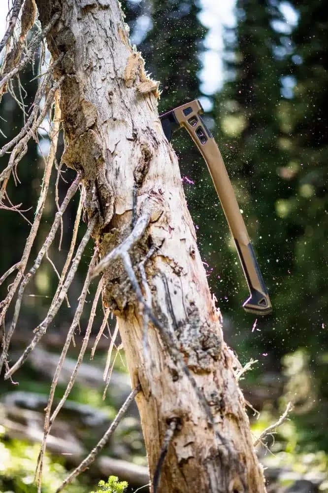 GERBER BUSHCRAFT fejsze, coyote (1059849) zombivadászathoz, erdőben