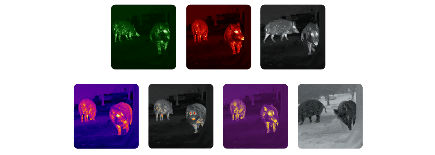 Nocpix Lumi L19 hőkamera kereső