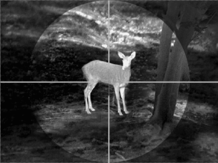 GUIDE TA450 HŐKAMERA ELŐTÉT 50 objektív 400 x felbontás 1024-es kijelző Detektálás:Vaddisznó: ~1000 m (Lahoux clip)