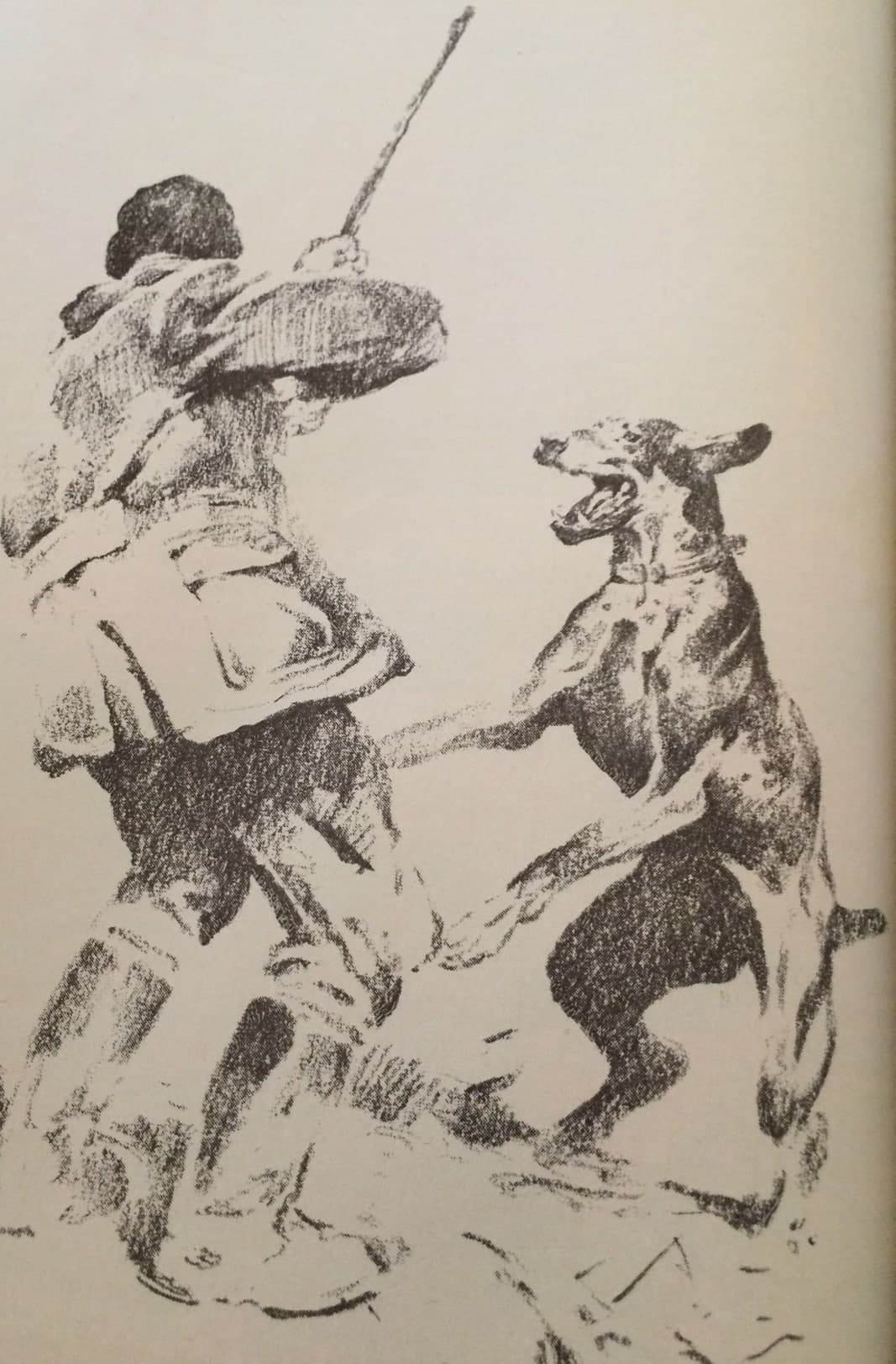 Vizslák (Nimród 1979. február)