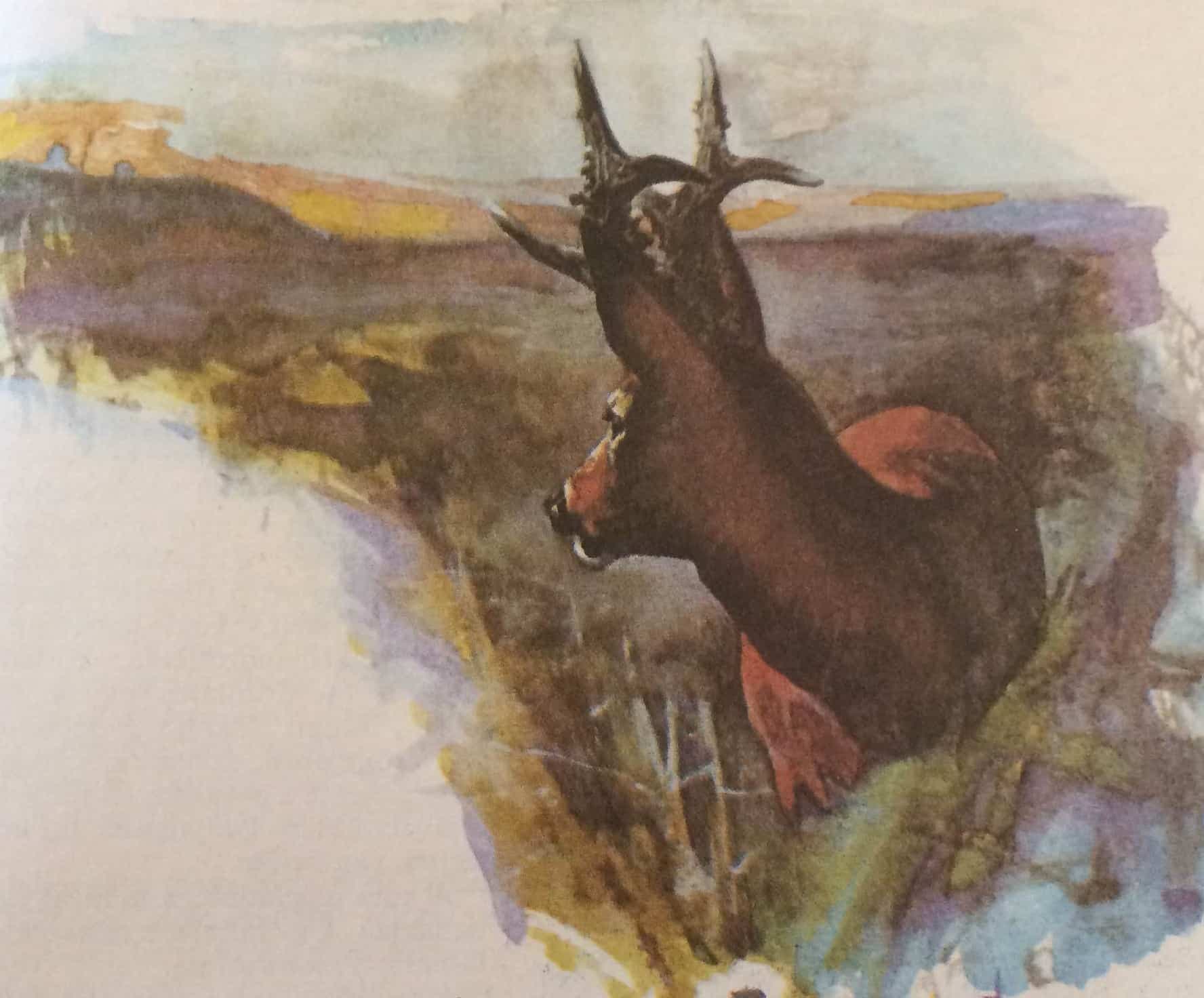 A Csörsz-árok lakója (Nimród, 1979. augusztus)