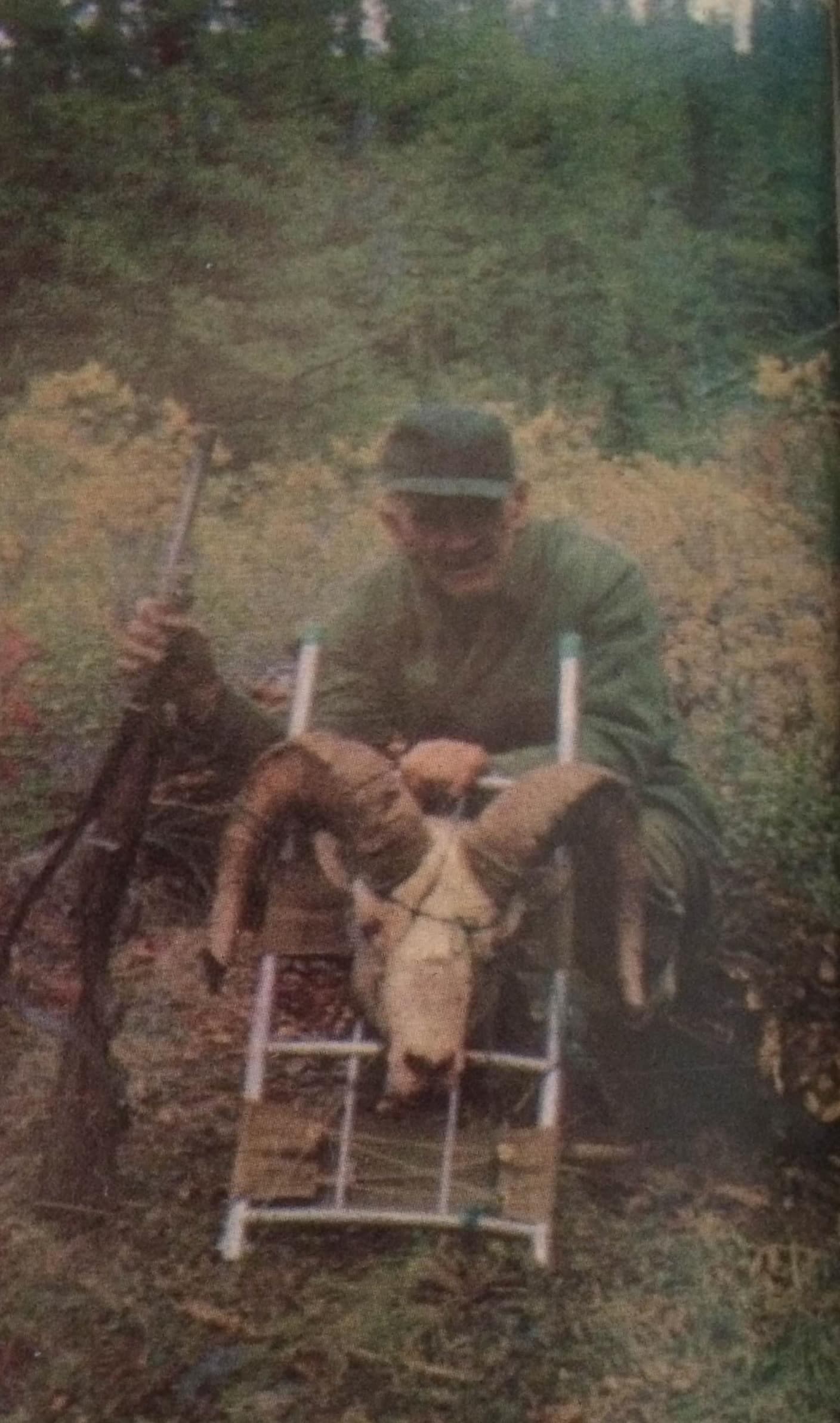 A Tootsee hegyek birkái (Nimród, 1979. december)