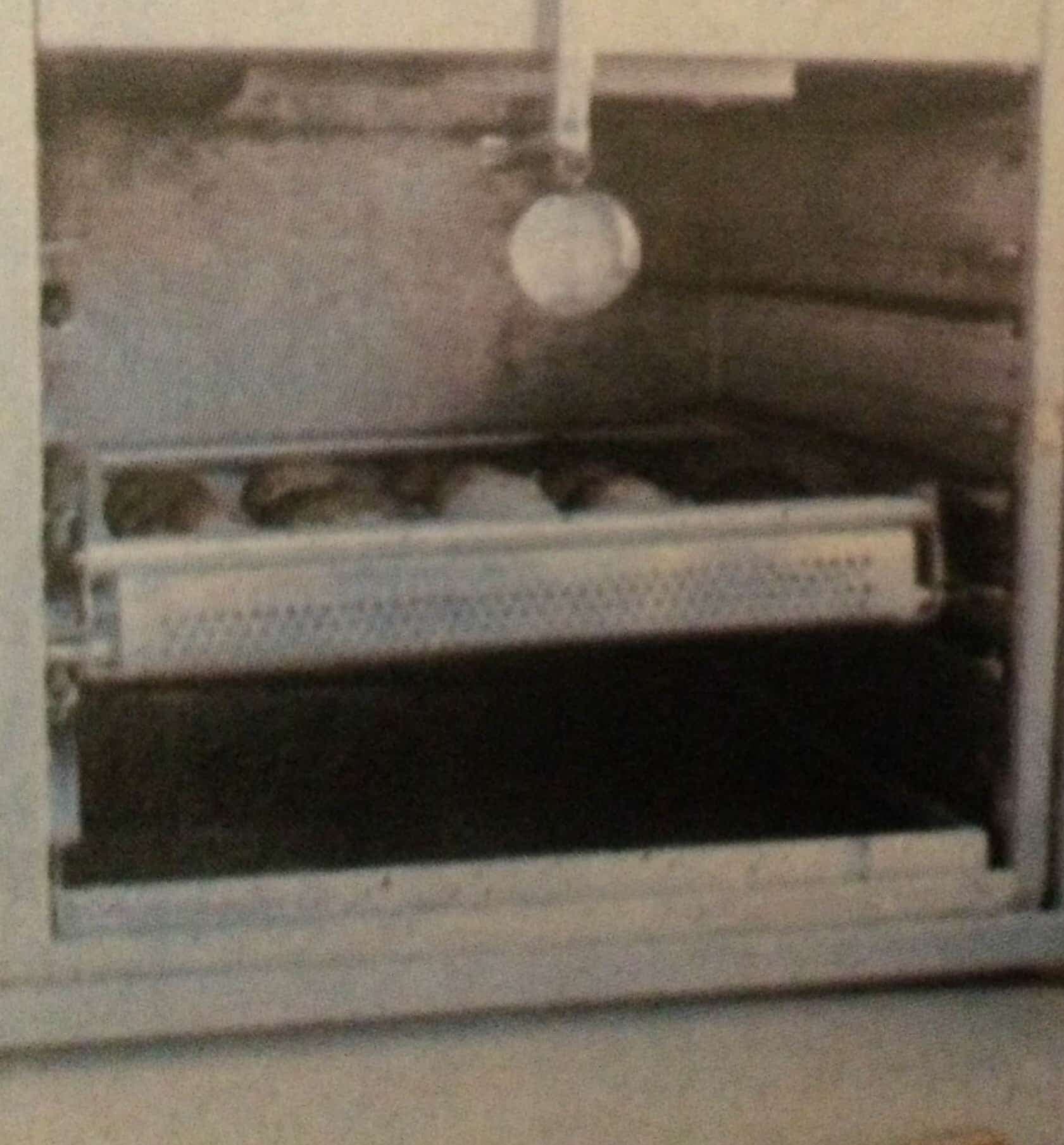 Túzokország fővárosa (Nimród, 1980. február)