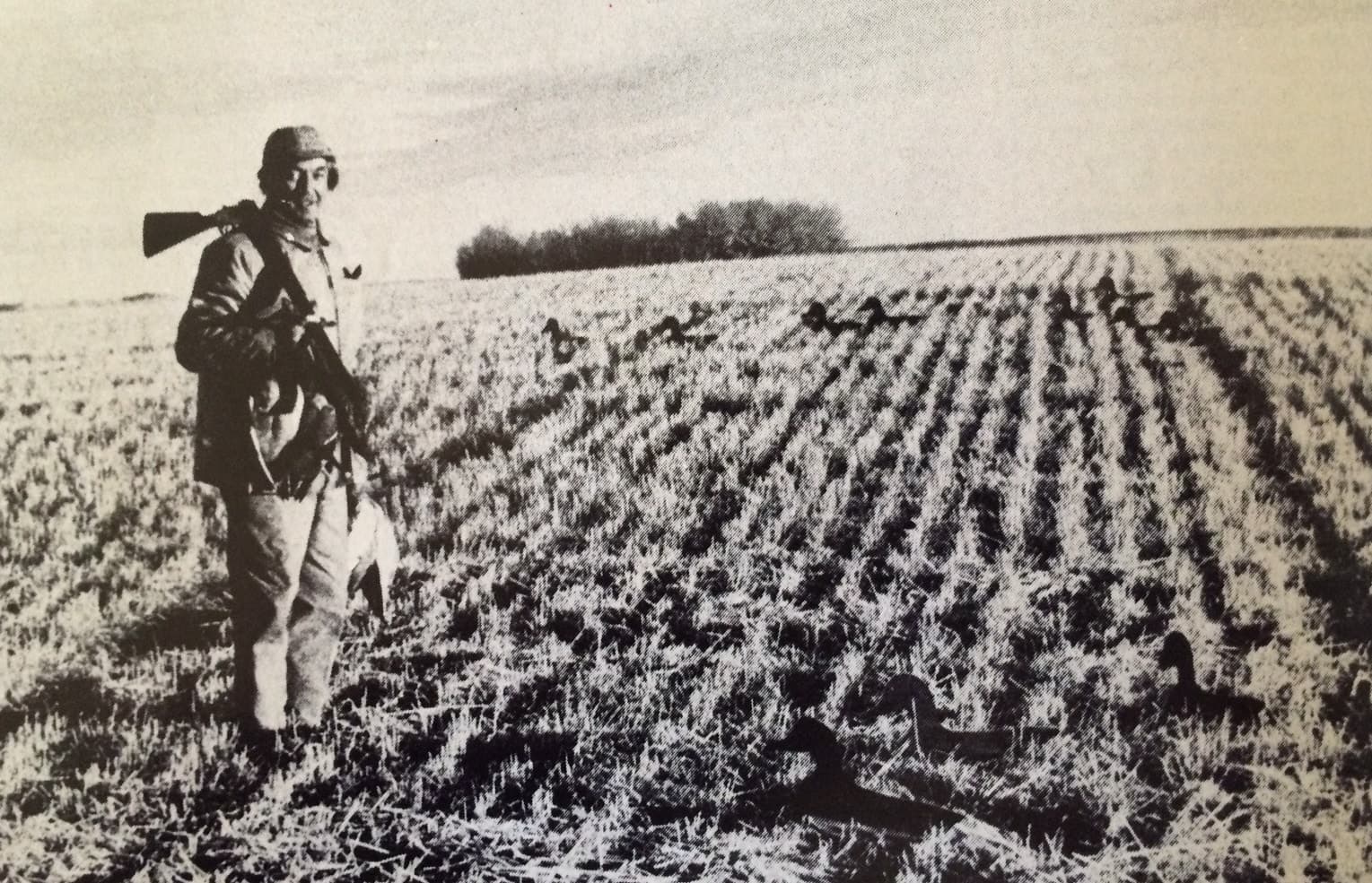 Récevadászat „Búzaországban” (Nimród, 1980. szeptember hó)