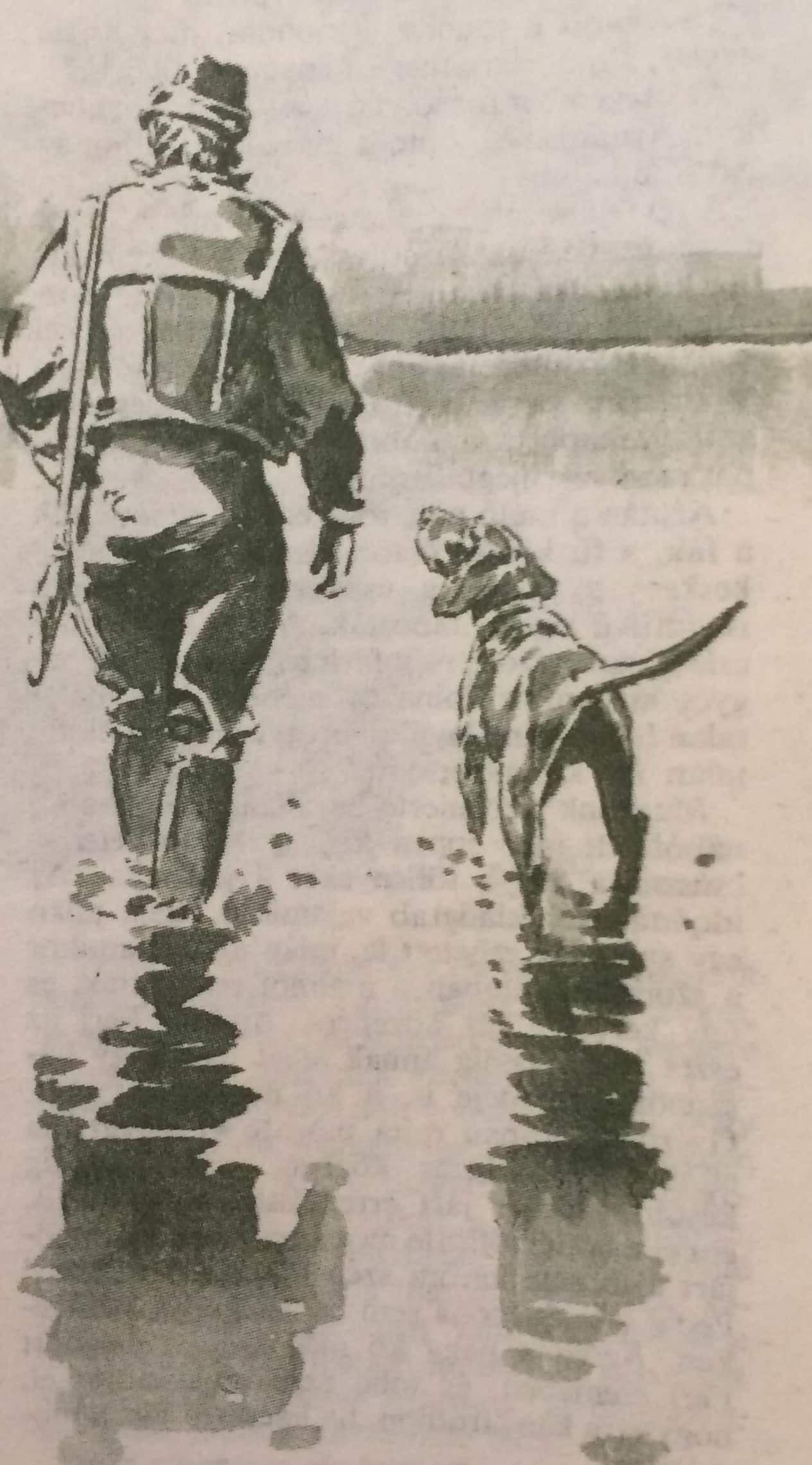A szerencsekő (Nimród, 1980. Karácsonyi különszám)