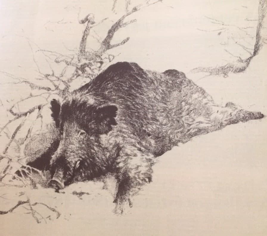 Tűzkeresztség (Nimród, 1978. január)