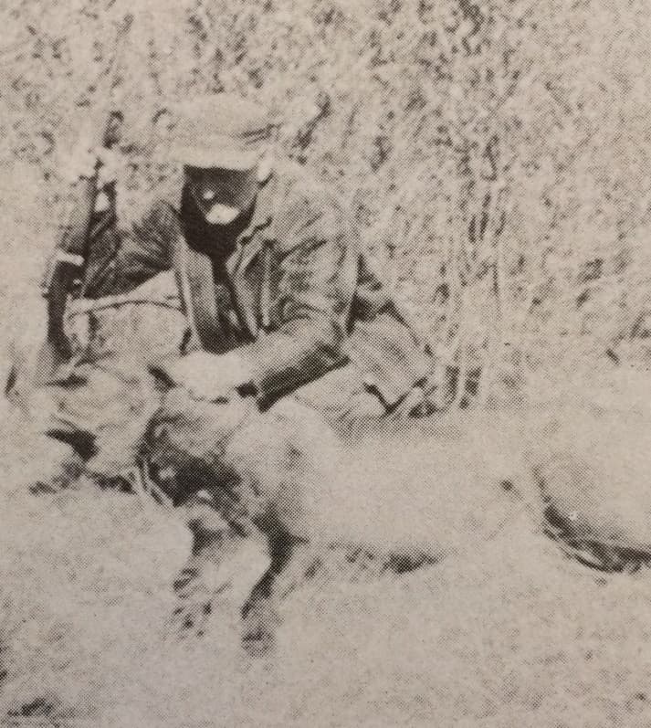 A halálkórus (Nimród, 1978. február)
