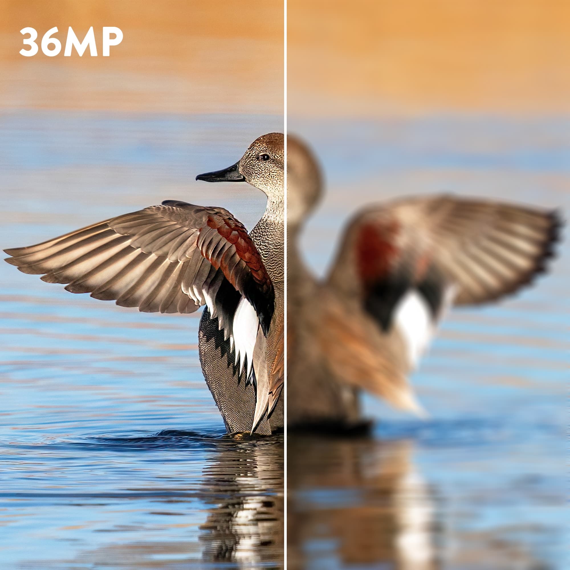 Hunting 550C élőképes vadkamera 4K vidó , 36mpx fényképek